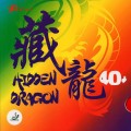Hidden Dragon 40+